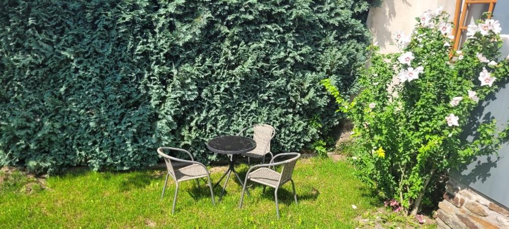 Ferienwohnung Eg Frauenmarkt 1 슈니베르크 외부 사진